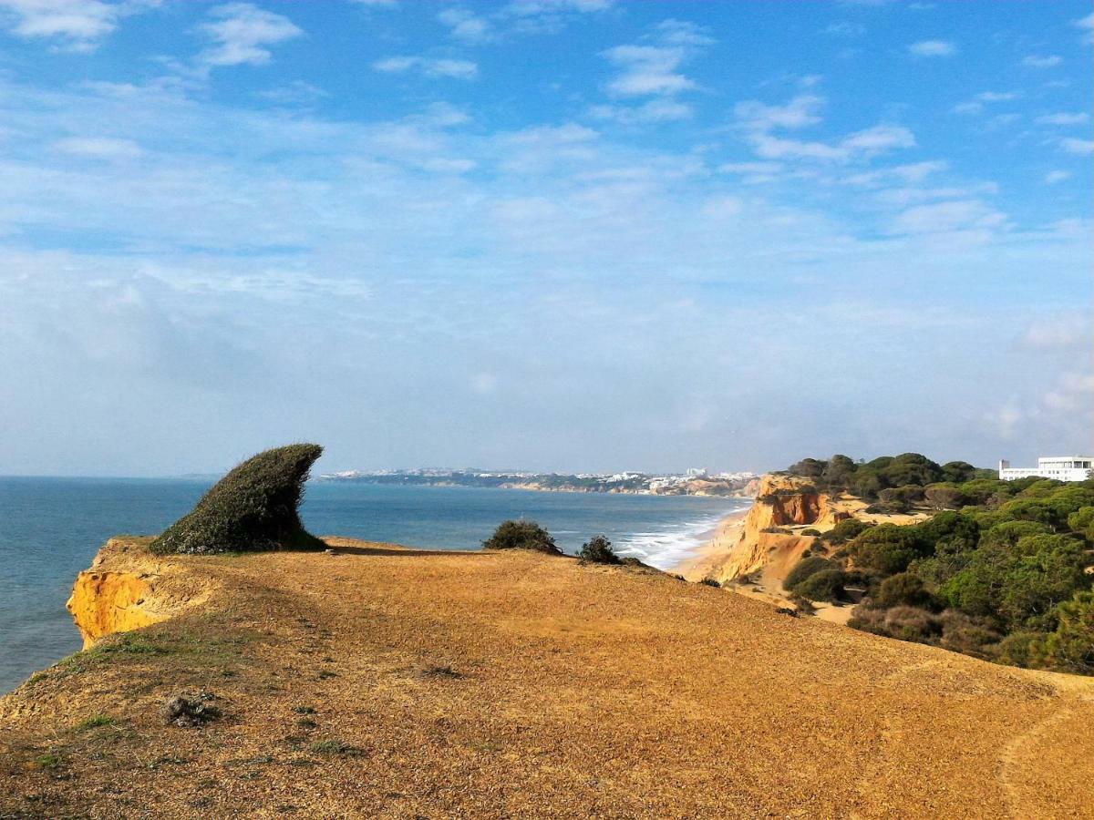 Excelente Apartamento - Da Falésia - Alfamar - Zona Tranquila * Albufeira