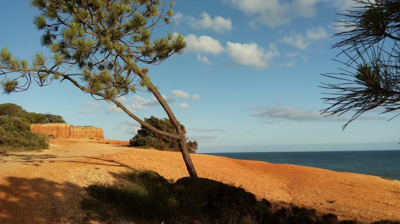 Excelente Apartamento - Da Falésia - Alfamar - Zona Tranquila Albufeira